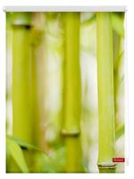 Lichtblick Sonnenschutzsysteme Rolgordijn Bamboe, Lichtblick
