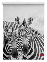 Lichtblick Sonnenschutzsysteme Rolgordijn Zebra, Lichtblick