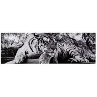 Home affaire Deco-Panel Tiger guckt dich an