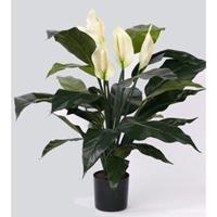 Kunst Spathiphyllum 75 cm