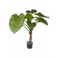 Kunst Alocasia calidora 80 cm