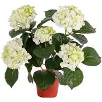 Kunstplant hortensia plant wit/groen 36 cm