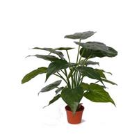 Kunst alocasia olifantsoor plant 51 cm