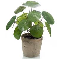 Kunstplant pannenkoeken plant groen in pot 25 cm - Kamerplant groen pilea