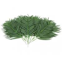Europalms Palmenblätter, 80 cm, 12 Stück