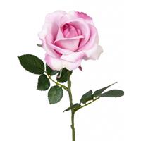 Bellatio Kunst roos Carol roze 37 cm Roze