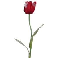 Bellatio Kunst tulp rood 65 cm Rood