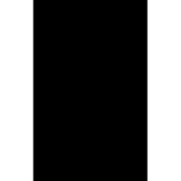 Duni Zwart tafellaken/tafelkleed 138 x 220 cm herbruikbaar Zwart