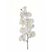 Kunst Orchidee tak 100 cm wit Wit