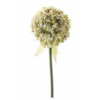 Kunstbloem Sierui / Allium wit 70 cm Wit