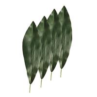 4x Kunstplant Aspidistra bladeren 75 cm donkergroen Groen