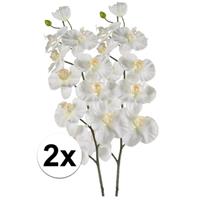Bellatio 2x Witte Orchidee kunstbloemen tak 100 cm Wit