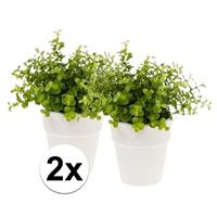 Bellatio 2x Kunstplant eucalyptus groen in witte pot 22 cm Groen