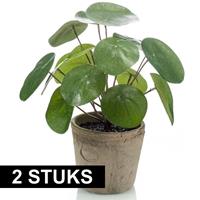 Bellatio 2x stuks Kunstplanten Pannekoekplant pilea groen in pot 25 cm Groen