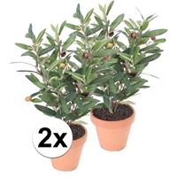 Bellatio 2x Kunstplant olijfboompje groen in terracotta pot 35 cm Groen