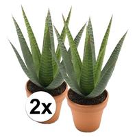 Bellatio 2x Kunstplant aloe vera groen in terracotta pot 23 cm Groen