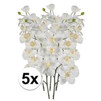 Bellatio 5x Witte Orchidee kunstbloemen tak 100 cm Wit