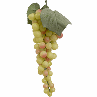 Bellatio Witte druiventros 28 cm Multi