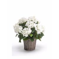 Kunstplant witte Hortensia in mand 45 cm