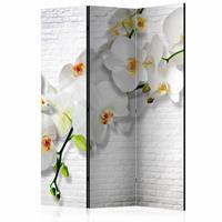 Vouwscherm - Orchidee op witte muur 135x172cm