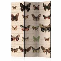 Vouwscherm - Vlinders in retro style 135x172 cm