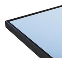 sanicare Q mirror spiegel met zwarte omlijsting 60x70cm
