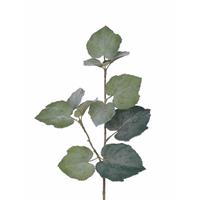 5x Kunstplant Linde Tilia bladgroen takken 50 cm groen Groen