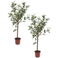 Bellatio 2x Kunstplant groene olijfboom 65 cm in betonlook pot Groen