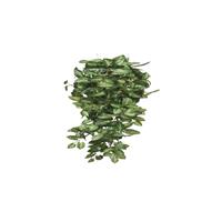 micadecorations Mica künstliche Fittonia hängend grün 80 x 30 x 15 cm Kunstpflanzen
