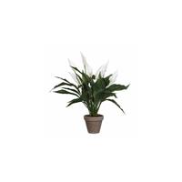 Mica flowers Decorations - spathiphyllum maat in cm: 50 x 40 wit in pot