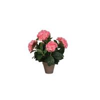 Mica Decorations Decorations hortensia roze in pot stan grijs d13,5 maat in cm:
