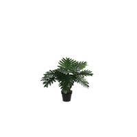 Mica Decorations Decorations philodendron in plastic pot maat in cm: 60 x 80