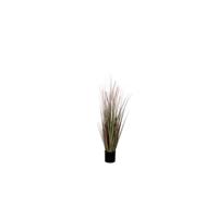 Mica Decorations Decorations dogtail gras paars in plastic pot d15 maat in cm: 120