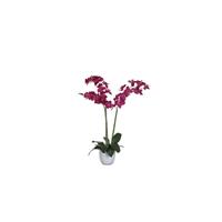 Mica Decorations Decorations phalaenopsis paars in pot tusca wit d14,5 maat in