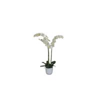 Mica Decorations Phalaenopsis orchidee 100cm