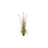 Mica Decorations Decorations pluimgras foxtail in plastic pot maat in cm: 180