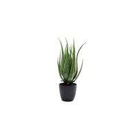 DEPOT Deko Pflanze Aloe 69cm