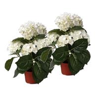 Bellatio 2x Kunstplanten hortensia wit 36 cm Wit