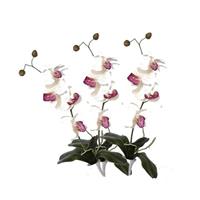 Bellatio 3x Kunstbloemen orchidee takken wit met roze 44 cm Wit