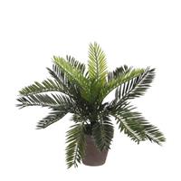 Mica kunstplant Cycas Palm (h33 cm)