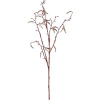 Shoppartners Bruine Betula pendula/berkenkatjes kunsttak 66 cm Bruin