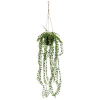 Emerald Kunstpflanze Ficus Pumila Hängend mit Topf 60 cm Grün