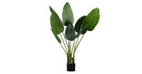 Woood Strelitzia künstliche Pflanze