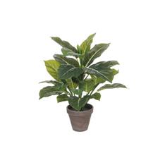 Mica kunstplant Evergreen (h49 cm)