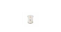 WoodWick Linen Mini candle