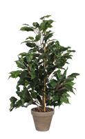 Manutan Kunstplant Ficus Exotica 65cm, Groen
