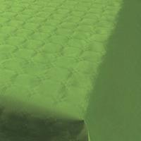 Haza Lichtgroen papieren tafellaken/tafelkleed 800 x 118 cm op rol Groen