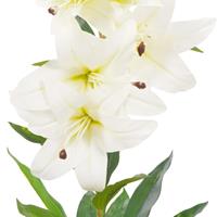 vidaXL Künstliche Lilie mit Topf Weiß 65 cm Mehrfarbig