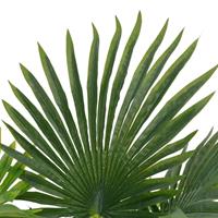 vidaXL Künstliche Pflanze Palme mit Topf Grün 70 cm Mehrfarbig