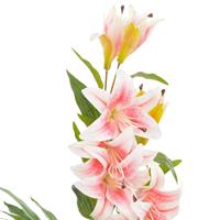 vidaXL Künstliche Lilie mit Topf Rosa 90 cm Mehrfarbig